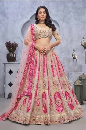 Beige Organza Embroidered Lehenga Choli with Dupatta LC8151