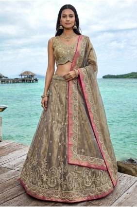 Brown Lehenga Choli in Embroidered Tissue LC9232