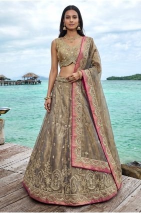 Embroidered Tissue Lehenga Choli in Coffee LC9186