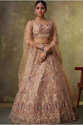 Embroidered Net Lehenga Choli in Beige with Dupatta LC8859