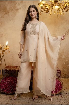 Organza Chiku Palazzo Suit in Embroidered PZ4546