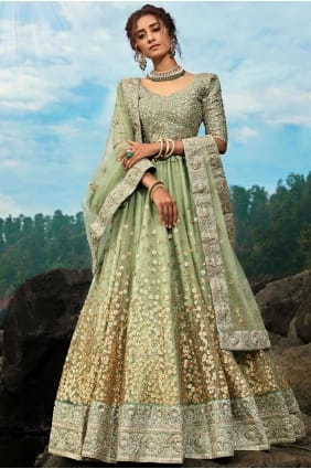 Pastel Green Net Lehenga Choli with Sequins lc2815