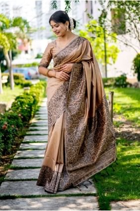 Chiku  Raw silk Saree with Weaving SR25673