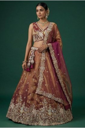 Reust Embroidered Tissue Lehenga Choli LC9205